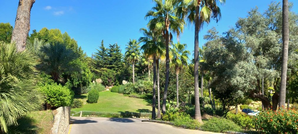 Palmen und Pflanzen im Botanischen Garten des Palmira Paradises 
