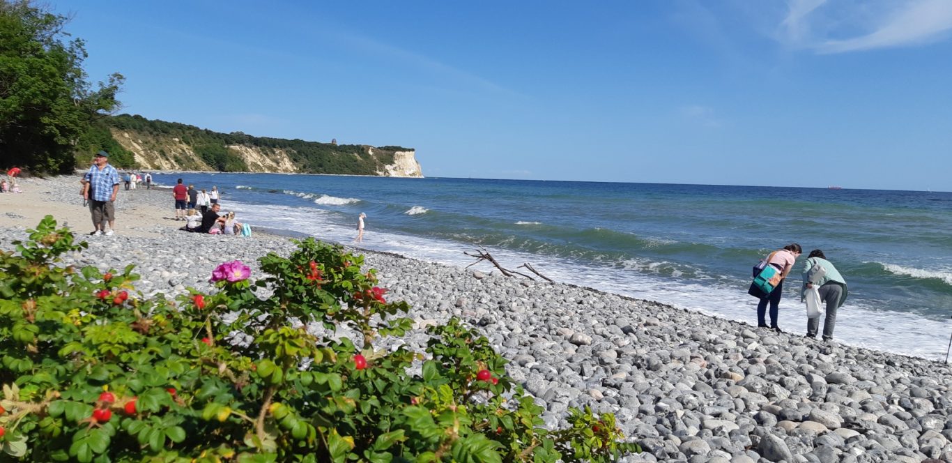 Rügen - Steilküste am Kap Arkona