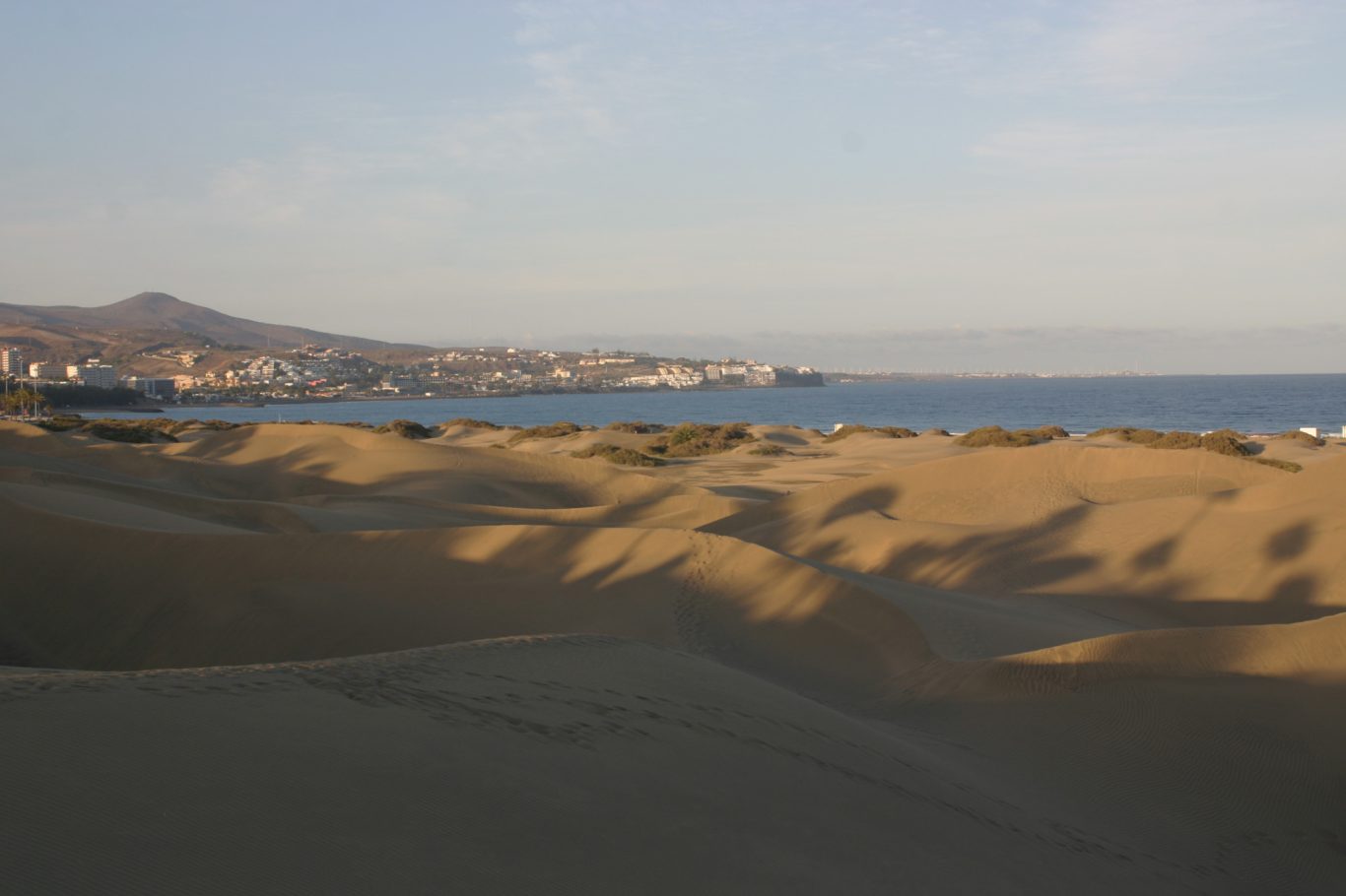 Gran Canaria - Dünen in Playa del Ingles Schatten von Palmen im Sonnenuntergang auf den Dünen auf Gran Canaria