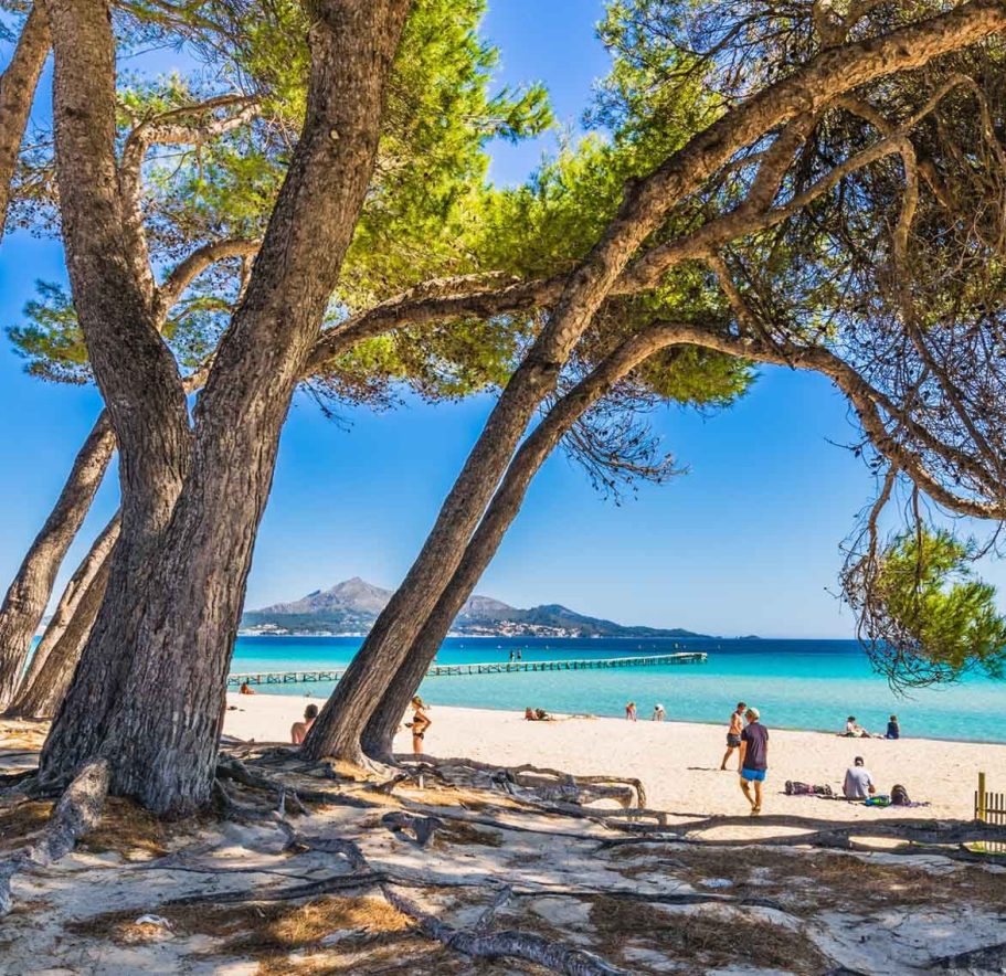 Urlaub in Alcúdia und an der Playa de Muro Strand an der Playa de Muro mit sandigem Ufer, klarem Wasser und Alcúdia im Hintergrund.