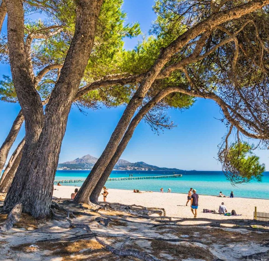 Strand mit feinem Sand, Bäumen im Vordergrund und klarem blauen Wasser im Hintergrund.