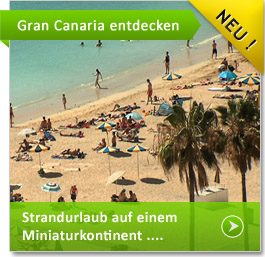 Traumstrand mit Palmen auf Gran Canaria