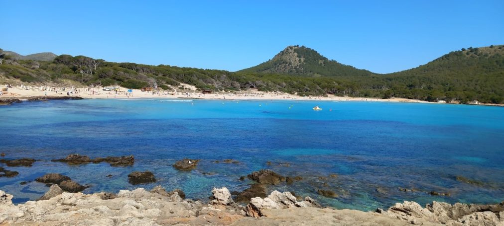 Strand Cala Agulla in Cala Rajada