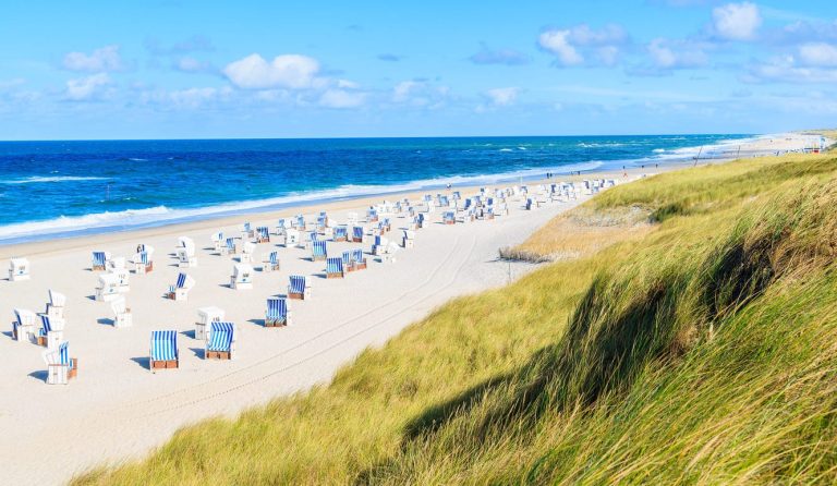 Strandkörbe am Strand auf Sylt mit Dünen