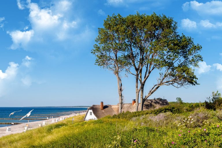 Strand und Reetdachhaus in Ahrenshoop