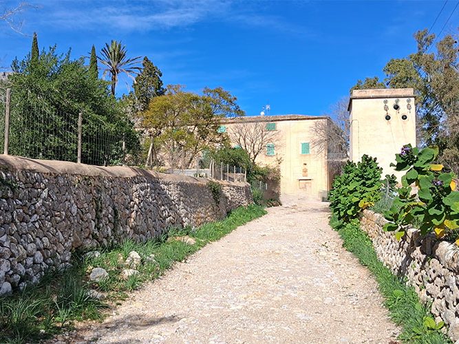 Steinweg mit Bäumen und Häusern, umgeben von einer Mauer und klarem blauen Himmel.