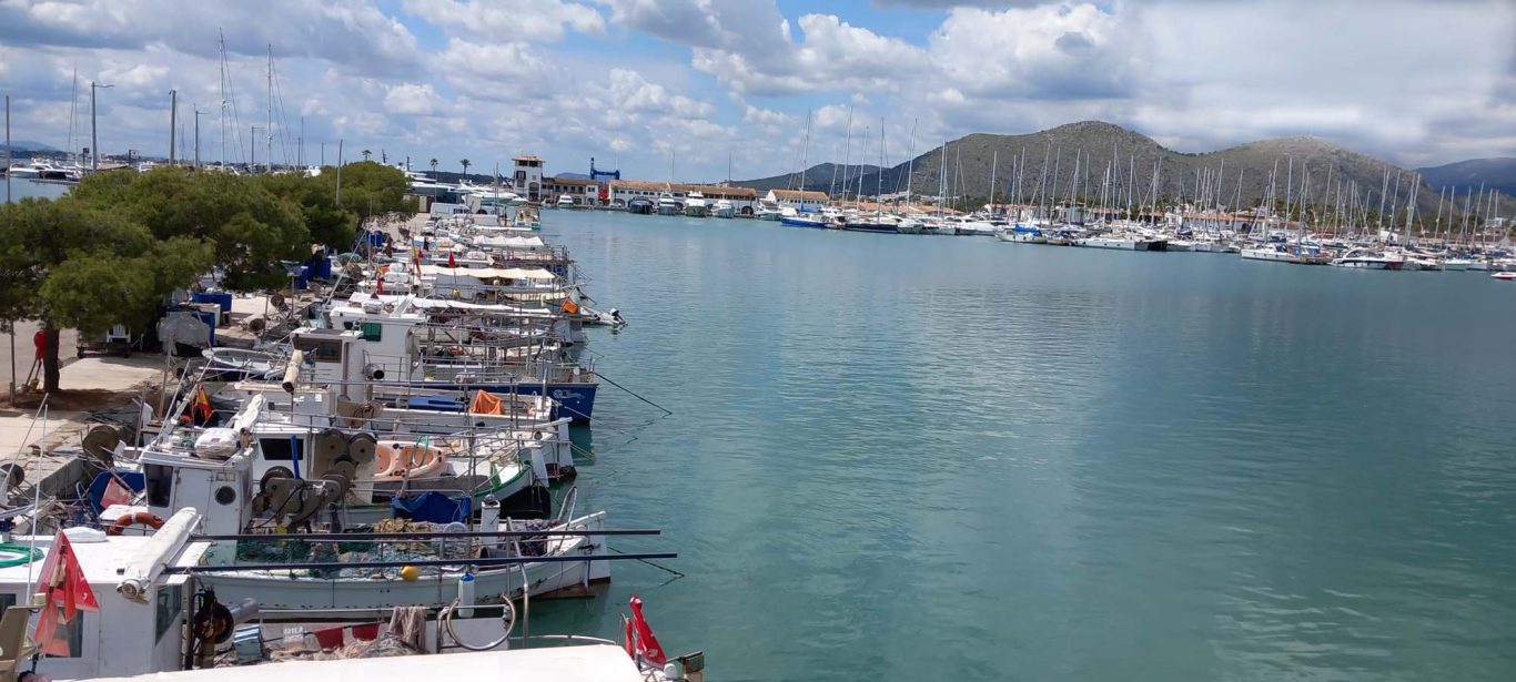 Fischerboote und Yachten im Hafenbecken von Alcúdia Hafen mit Booten, ruhiges Wasser und umgebende Berge unter einem bewölkten Himmel.