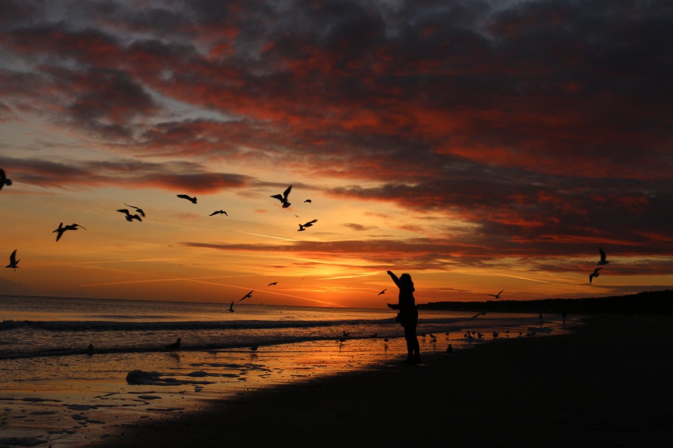 Frau mit Möwen im roten Sonnenaufgang am Strand
