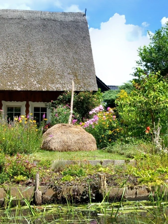 Holzhaus mit Heuschober und buntem Bauerngarten im Spreewald