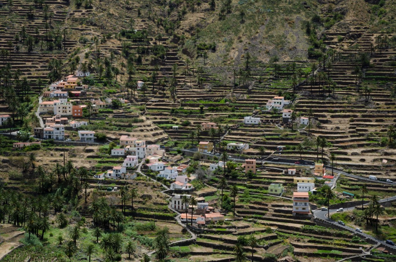 La Gomera - Terrassenfelder im Valle Gran Rey Bauernhäuser in Terrassenfeldern an einer Felswand im Valle Gran Rey