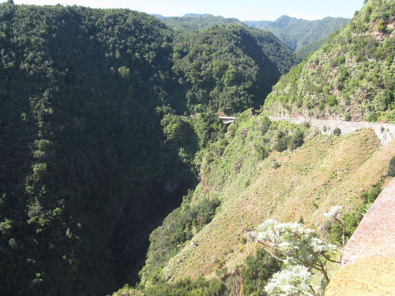La Palma - Bergstraße Ostküste Blick in grüne Schlucht und auf Bergstraße auf La Palma