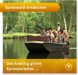 Spreewaldkahn im Spreewald