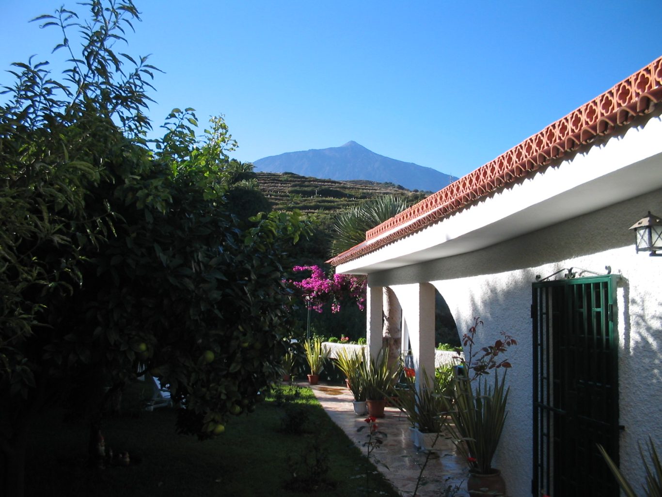 Teneriffa - Fincablick auf den Teide Aussicht auf Vulkanspitze des Teide von der Terrasse einer Fina auf Teneriffa