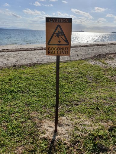 Warnschild vor fallenden Kokosnüssen am Strand