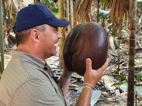 Mann mit Riesenkokosnuss auf den Seychellen