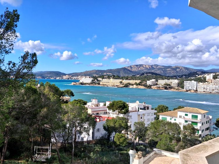 Blick auf eine Küstenlandschaft mit Bergen und blauem Wasser, umgeben von Bäumen.