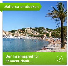 Strand mit Palme im Süden von Mallorca