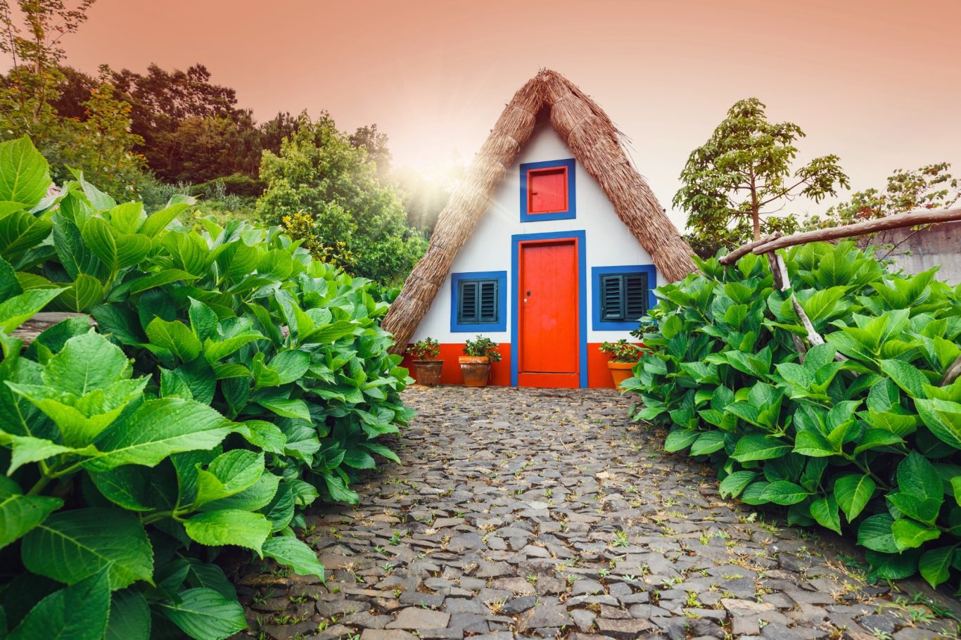 Madeira - inseltypische Santana-Häuser im Norden von Madeira Santana Haus mit roter Tür und blauen Fenstern