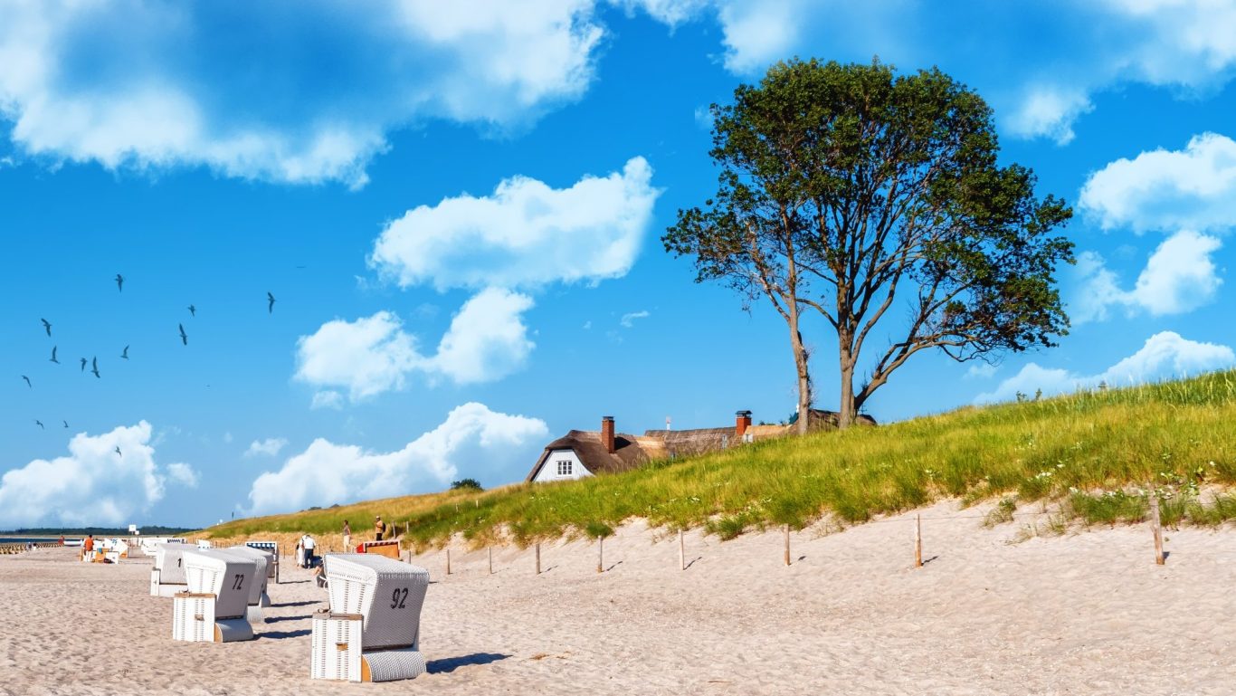 Strandkörbe am Sandstrand in Ahrenshoop
