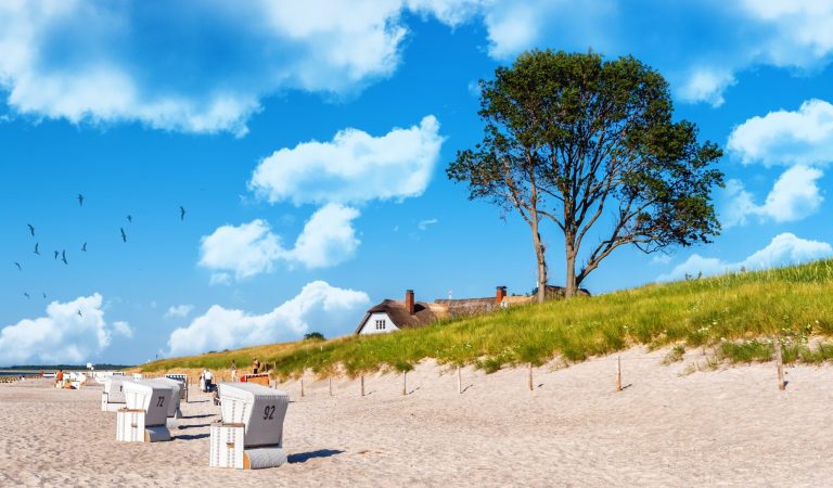 Strandkörbe am Sandstrand in Ahrenshoop